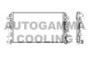 AUTOGAMMA 104533 Radiator, engine cooling